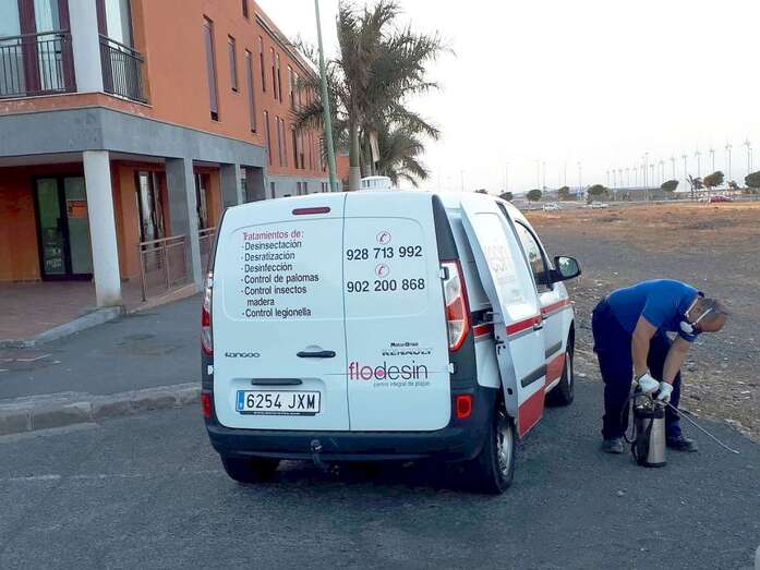 Servicio de control de plagas (Foto TA)